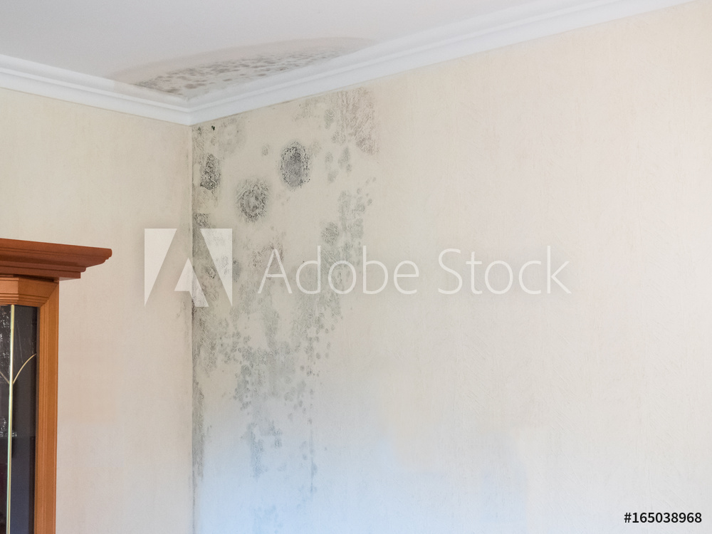 AdobeStock_165038968_Preview